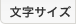 文字サイズ