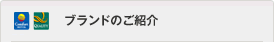 ブランドのご紹介